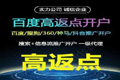 如何在有限预算下最大化百度推广费用的效果——案例解读